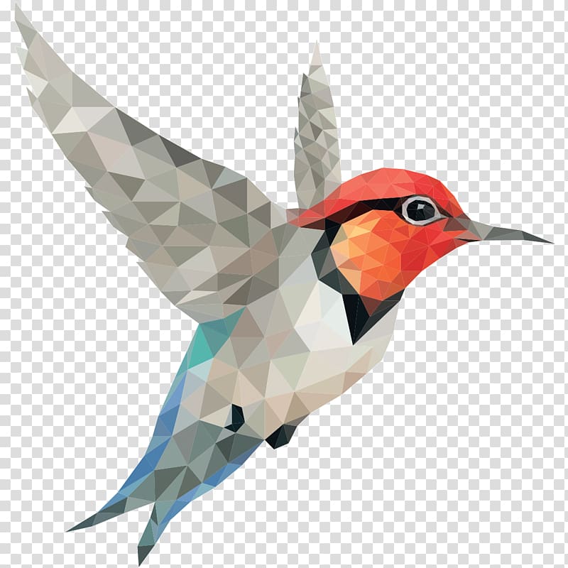 Portable Network Graphics Desktop Bird , colibri transparent background PNG clipart