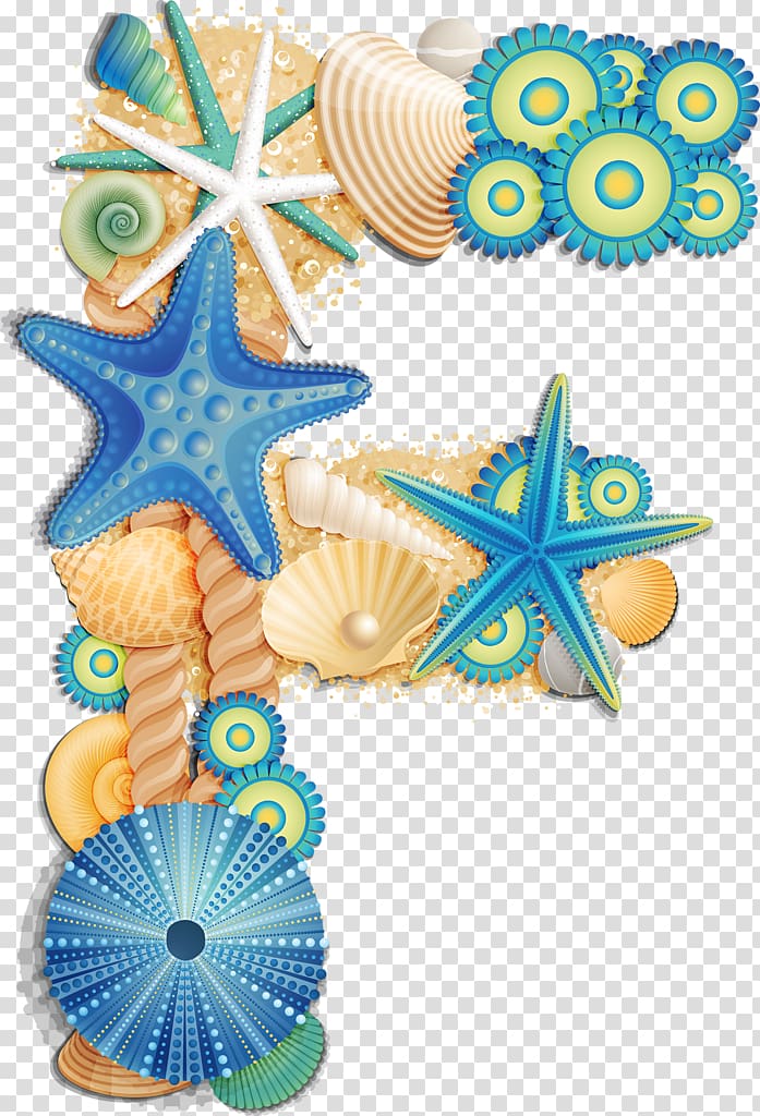 Alphabet Sea urchin Letter Seashell, seashell transparent background PNG clipart