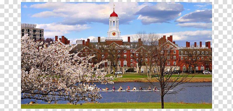 Harvard College University Ivy League Financial endowment, student transparent background PNG clipart