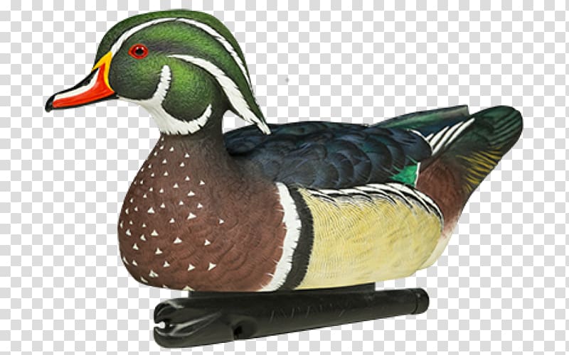 Duck decoy Mallard Bird, duck transparent background PNG clipart