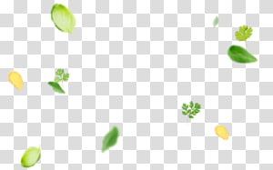 Petal Desktop Leaf, Leaf transparent background PNG clipart thumbnail