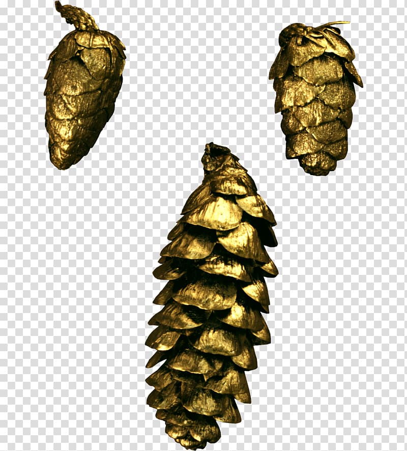Pine Conifer cone Material, Pine cone material transparent background PNG clipart