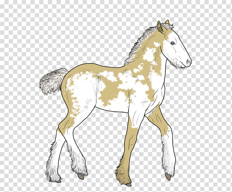 Foal Mustang Colt Stallion Mare, mustang transparent background PNG clipart