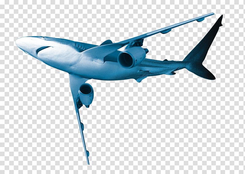 Great white shark Airplane, Dolphin aircraft transparent background PNG clipart