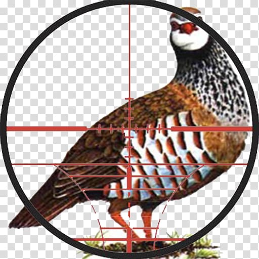 Sub Terra Partridge Hunting Phasianidae, others transparent background PNG clipart