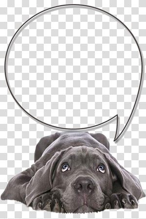 sick puppy clipart png