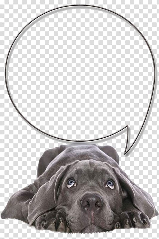 short-coated blue puppy, Labrador Retriever Cane Corso Pet sitting Veterinarian, Depressed dog transparent background PNG clipart
