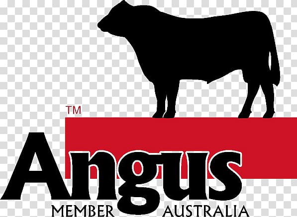 Angus cattle Logo Ox Farm Angus Australia, angus transparent background PNG clipart