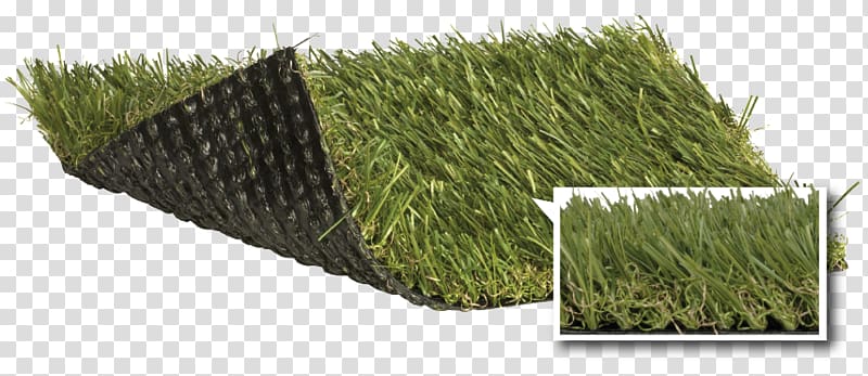 Artificial turf Lawngrass Garden Teito, Artificial Turf Distribution transparent background PNG clipart