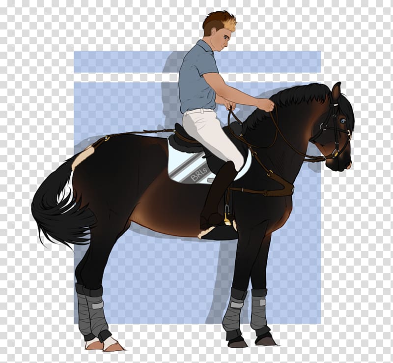 Stallion Hunt seat Horse Rein Equestrian, horse transparent background PNG clipart