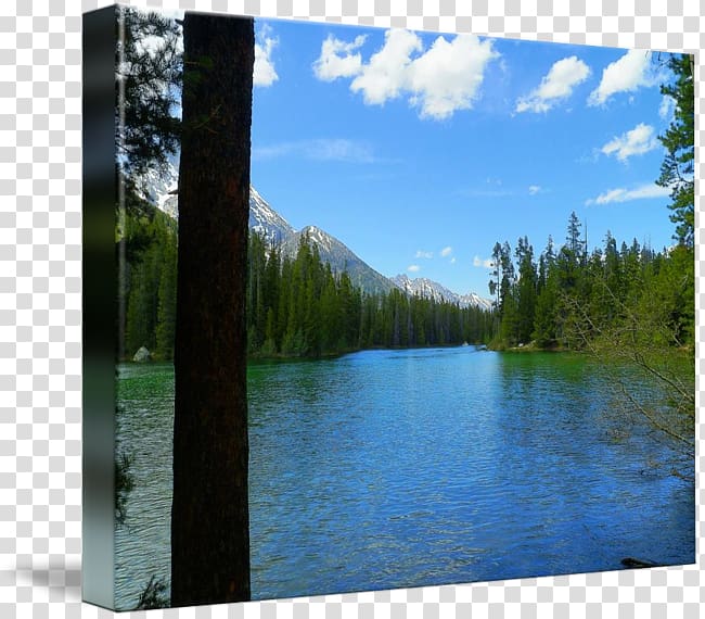 Nature reserve Water resources Pond Wilderness State park, Grand National transparent background PNG clipart