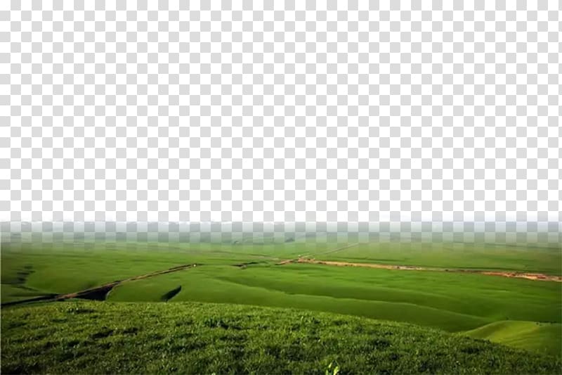 Lawn Rural area Land lot Ecoregion , The bottom edge of the prairie background transparent background PNG clipart