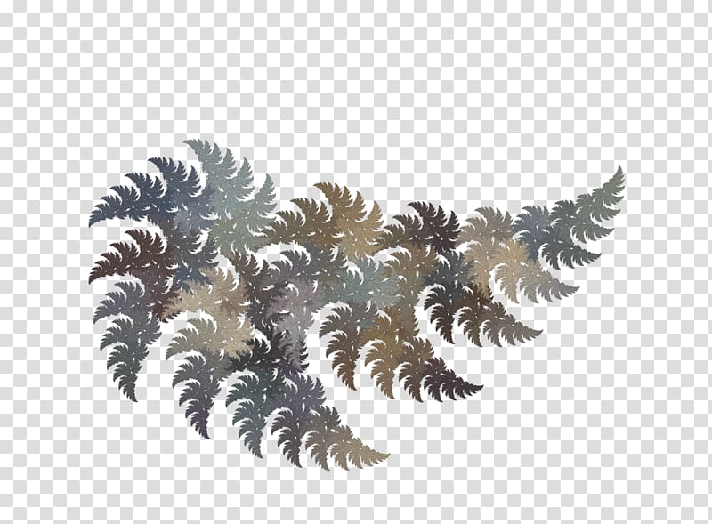 Pine Leaf Conifer cone , Leaf transparent background PNG clipart