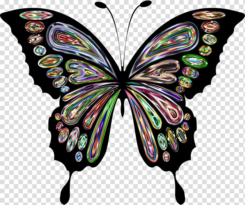 Butterfly Drawing , batterfly transparent background PNG clipart