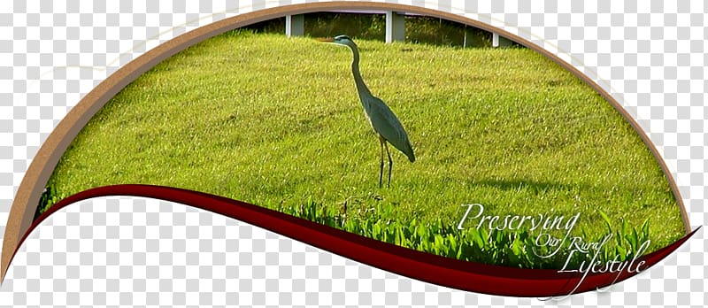 Davie Fort Lauderdale Miami metropolitan area Everglades Ocean City Development Corporation, others transparent background PNG clipart
