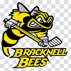 Bracknell Bees logo illustration, Bracknell Bees Logo transparent background PNG clipart