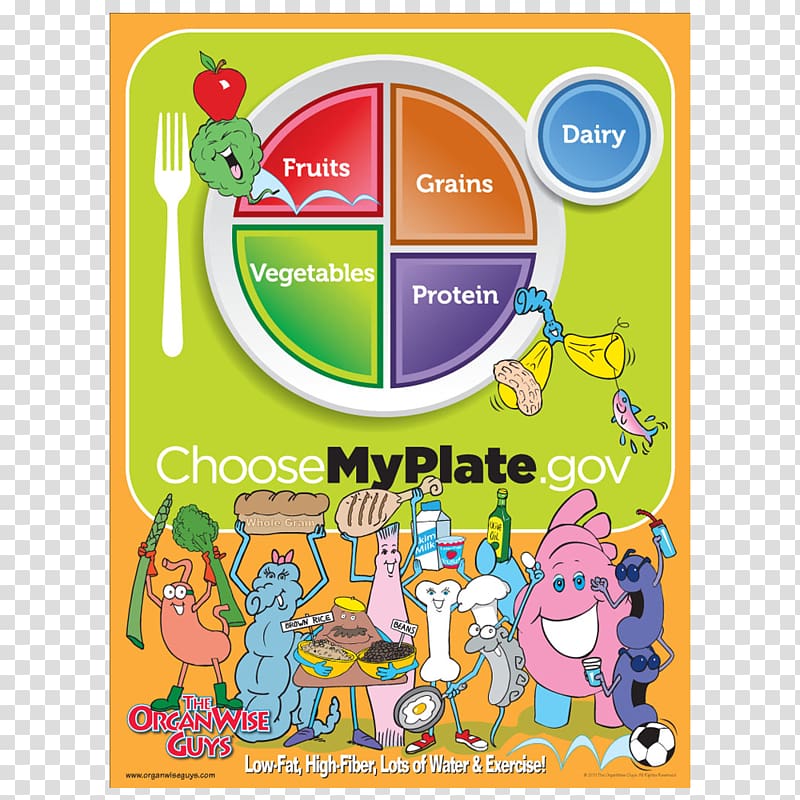 MyPlate Nutrition Food pyramid Food group MyPyramid, plating crystal poster transparent background PNG clipart