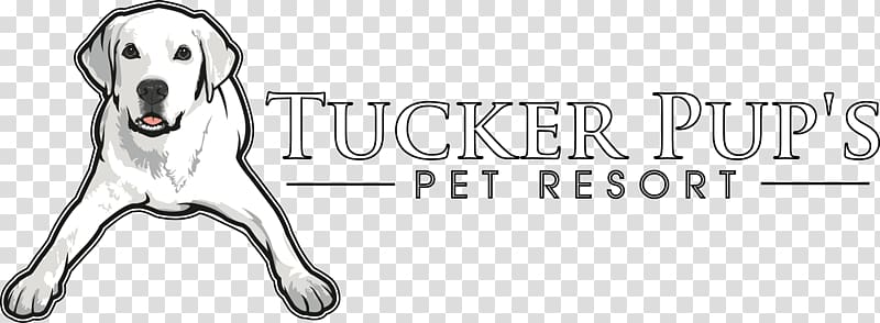 Dog breed Dog daycare Dog grooming Tucker Pup's Pet Resort, Dog transparent background PNG clipart