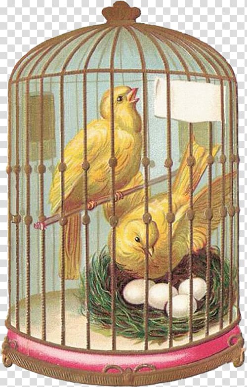 Birdcage Domestic canary Tanager, Bird transparent background PNG clipart