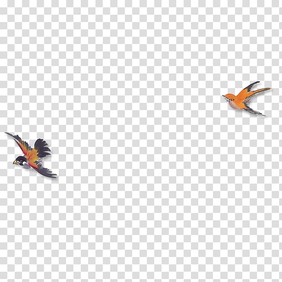 Mandarin duck Mergini, Flying duck transparent background PNG clipart