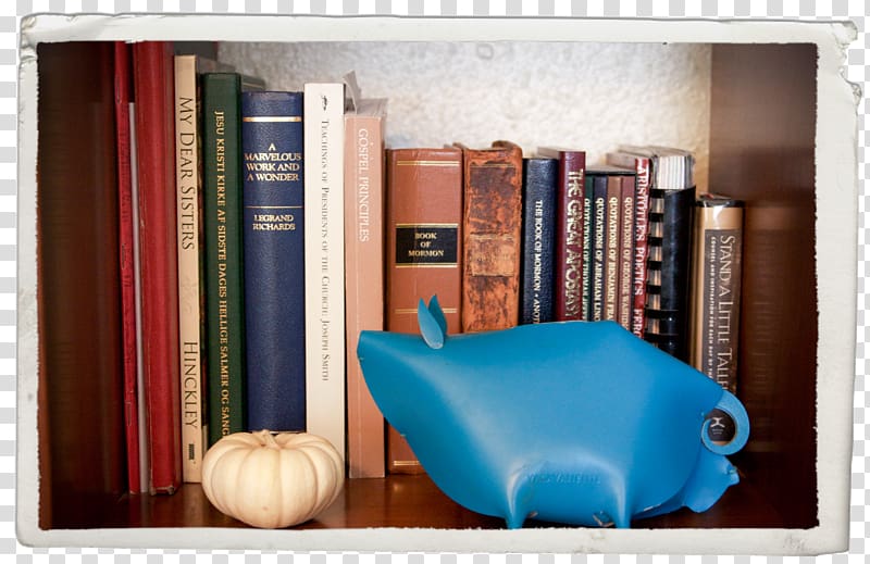 Shelf Bookcase Furniture, Store Shelf transparent background PNG clipart