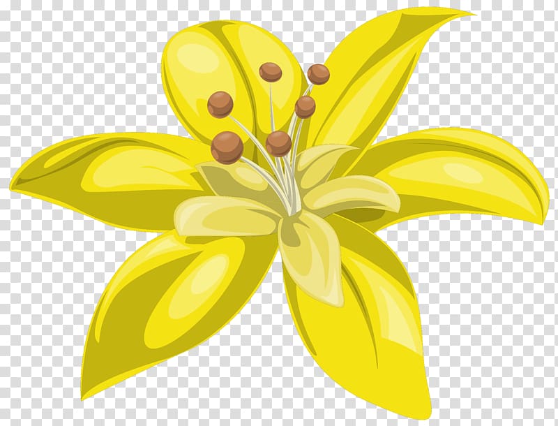 yellow lily , Yellow Flower , Yellow Flower transparent background PNG clipart