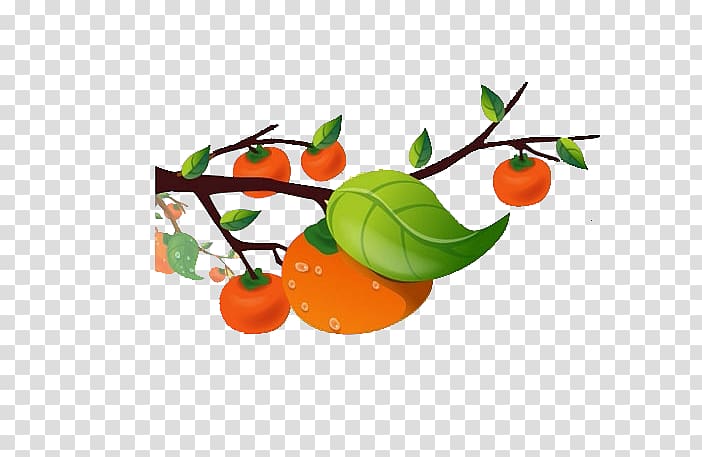 Cartoon Child Illustration, Persimmon tree transparent background PNG clipart