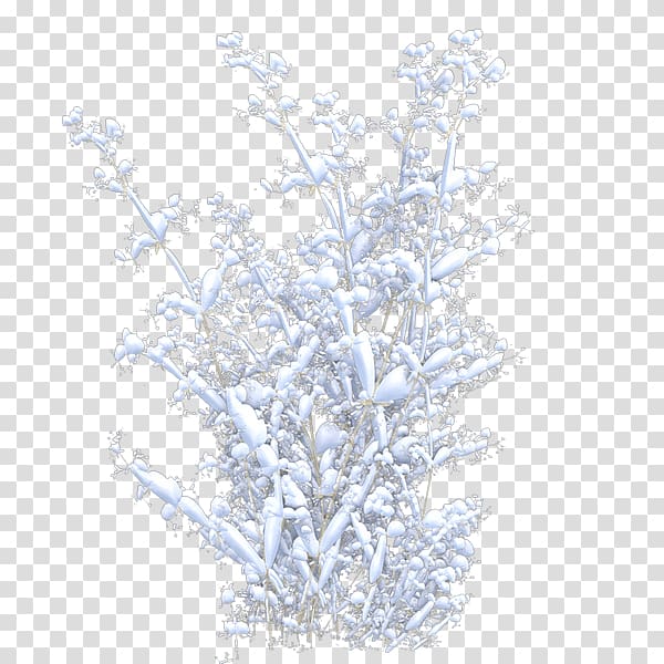 Winter Lavender Sky plc, winter transparent background PNG clipart