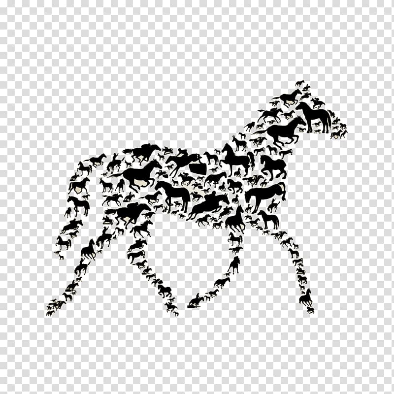 Horse Wall decal Sticker, horse transparent background PNG clipart