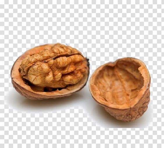 brown nut illustration, Hiveswap Nutshell , Walnut transparent background PNG clipart