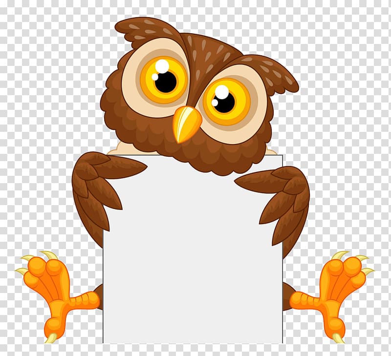 owl holding white board illustration, Owl Cartoon Illustration, owl transparent background PNG clipart