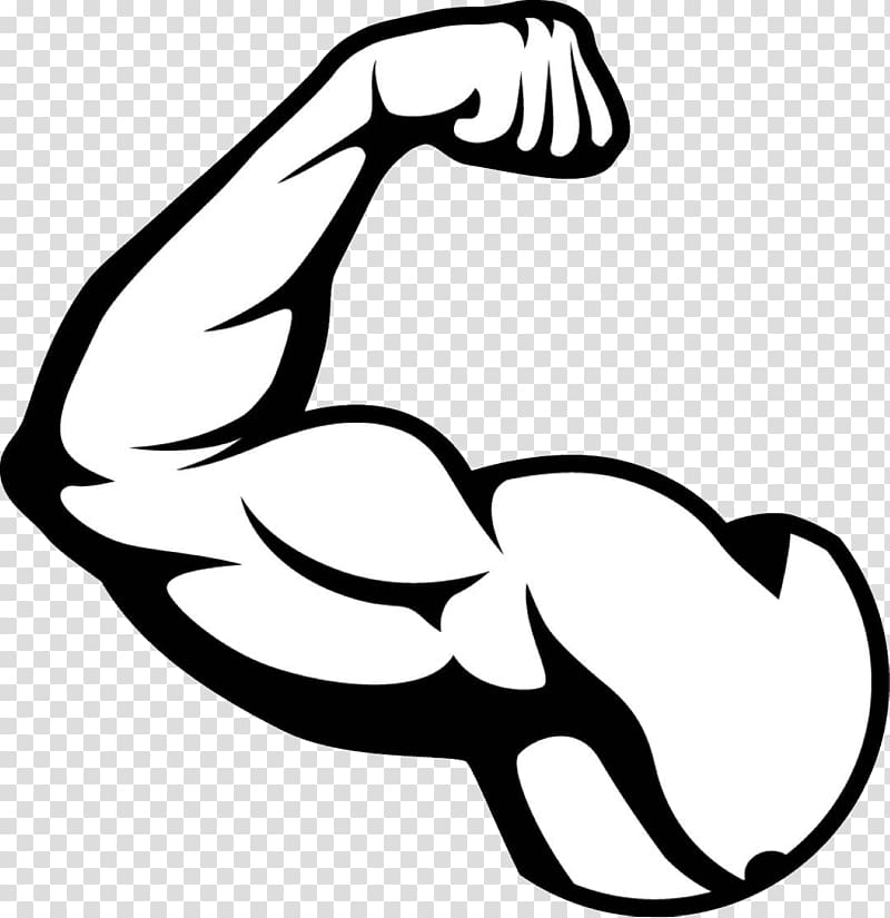 Arm Muscles Clipart