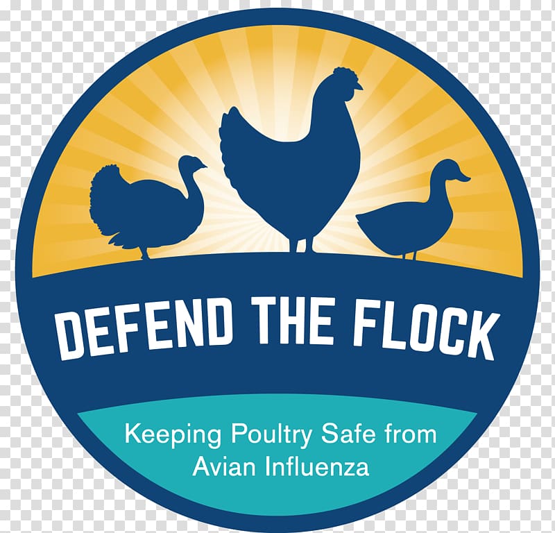 Avian influenza Chicken Disease United States Department of Agriculture Health, flock transparent background PNG clipart