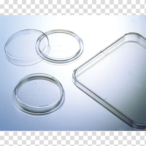 Petri Dishes Greiner Bio-One Cell culture Laboratory Tissue culture, others transparent background PNG clipart