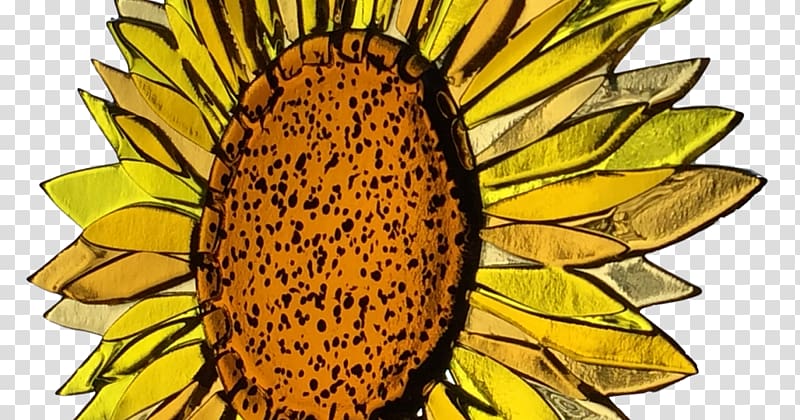 Common sunflower Fused glass Glass fusing Glass art, glass transparent background PNG clipart