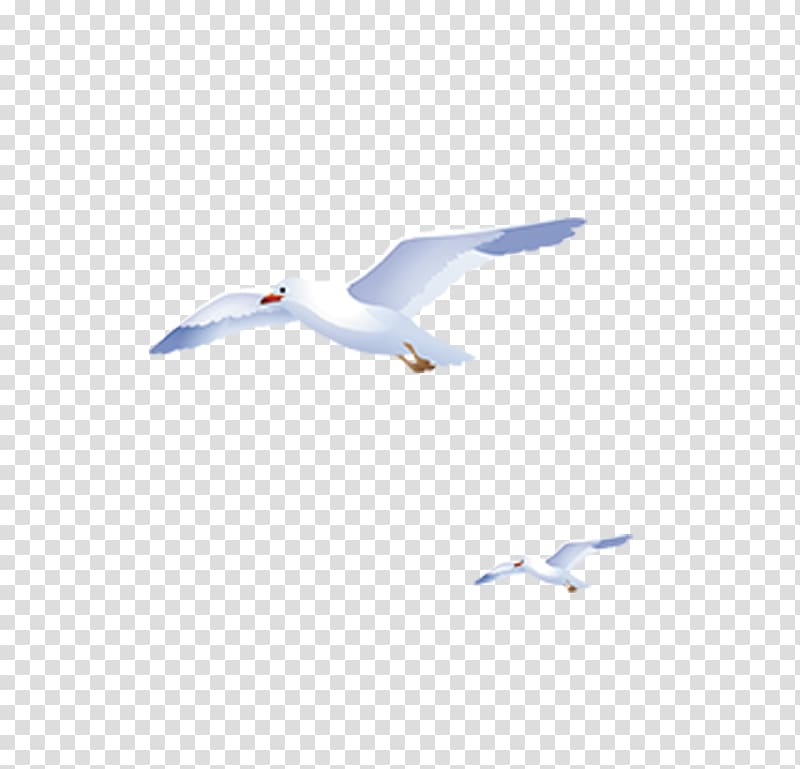 Flight Sky European Herring Gull, Flying geese sky blue and white hand-painted transparent background PNG clipart