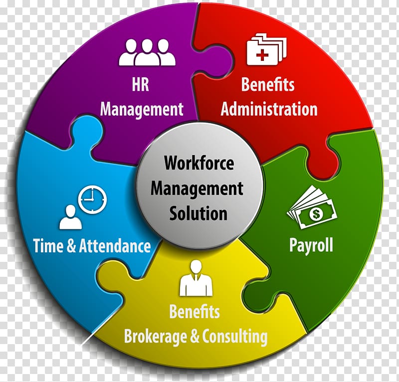 Workforce management Organization Human resource consulting, transparent background PNG clipart