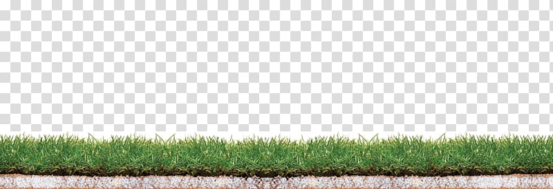 Crop Lawn Grassland Grasses Family, others transparent background PNG clipart