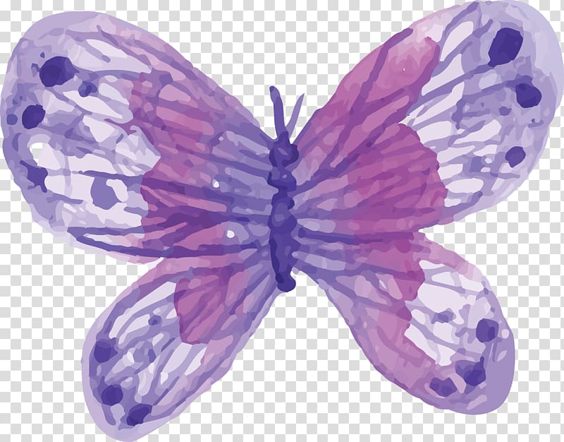 red and white butterfly , Butterfly Watercolor painting, Watercolor Purple Butterfly transparent background PNG clipart