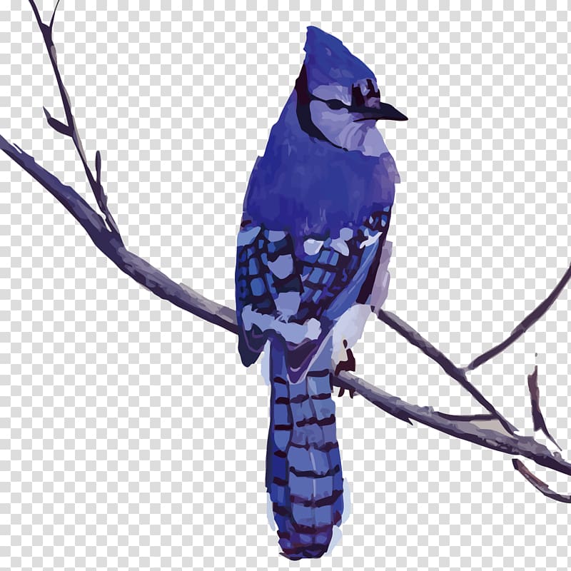 Bird Blue jay Drawing Painting Art, birds transparent background PNG clipart