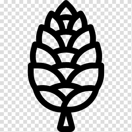 Conifer cone Computer Icons Pine, pine transparent background PNG clipart
