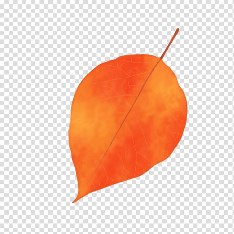 Fruit Leaf Peach, autumn leaves transparent background PNG clipart