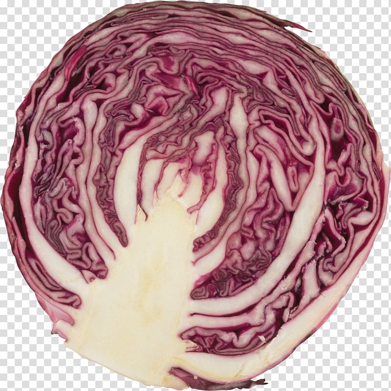 Vegetable Red cabbage Baking Powder Food, a variety of chinese cabbage transparent background PNG clipart