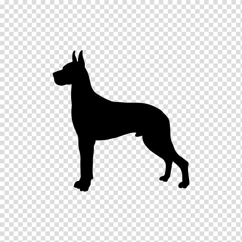 Great Dane Boxer Puppy Newfoundland dog Greyhound, GREAT DANE transparent background PNG clipart
