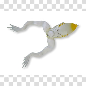 Beak Water bird Feather, Bird transparent background PNG clipart thumbnail