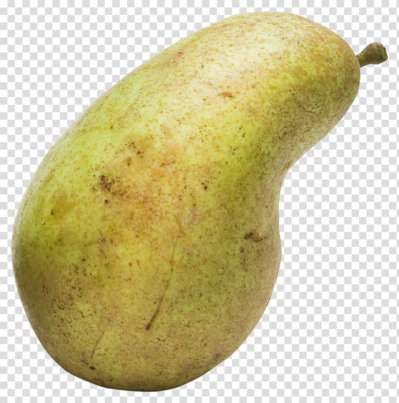 Pyrus xd7 bretschneideri Pyrus nivalis, Pear transparent background PNG clipart