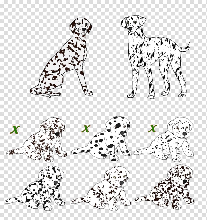 Dalmatian dog Dog breed Non-sporting group Pongo Art, flemings left hand rule transparent background PNG clipart