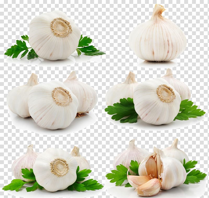 Garlic Fruit Parsley Queso blanco , Garlic Collection transparent background PNG clipart