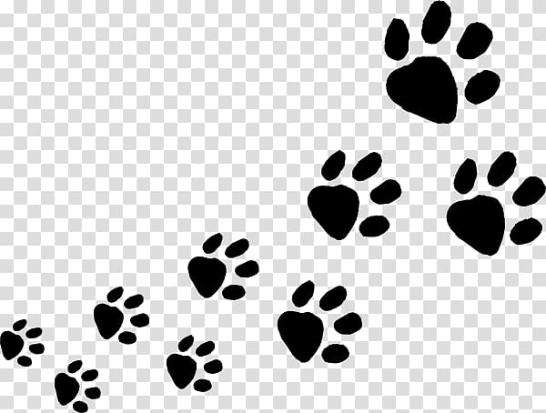 Dog Cat Animal track Paw , Animal Footprint transparent background PNG clipart