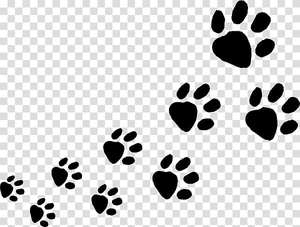 Dog Cat Animal track Paw , Animal Footprint transparent background PNG  clipart